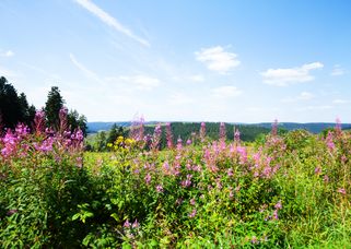 Spa hotels in Midden-Duitsland