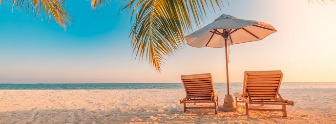 Solstolar och parasoll under en palmträd på en vit sandstrand