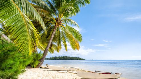 Strand, palmträd och vita båtar på Sri Lanka