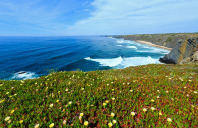 Blomsterö och kusten i Algarve, Portugal