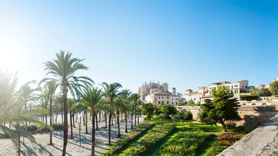 Solsken, palmträd och fina byggnader i Palma de Mallorca